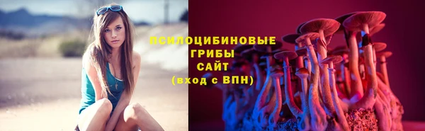 ALPHA PVP Арсеньев