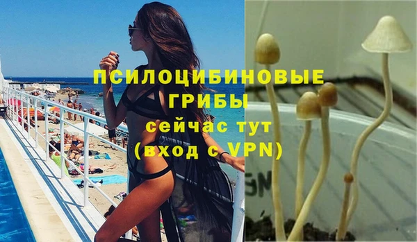 ALPHA PVP Арсеньев