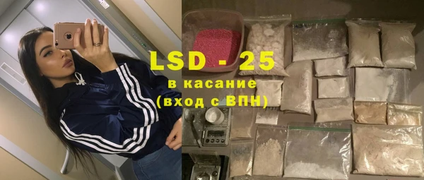 крисы Аркадак