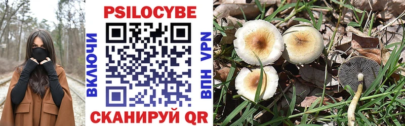 Псилоцибиновые грибы мухоморы  Купить закладки  Стерлитамак 